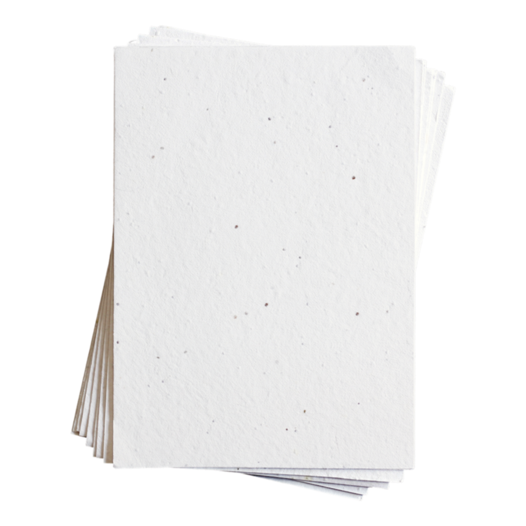 Shiloh Alyssum 种子纸 (200 GSM)