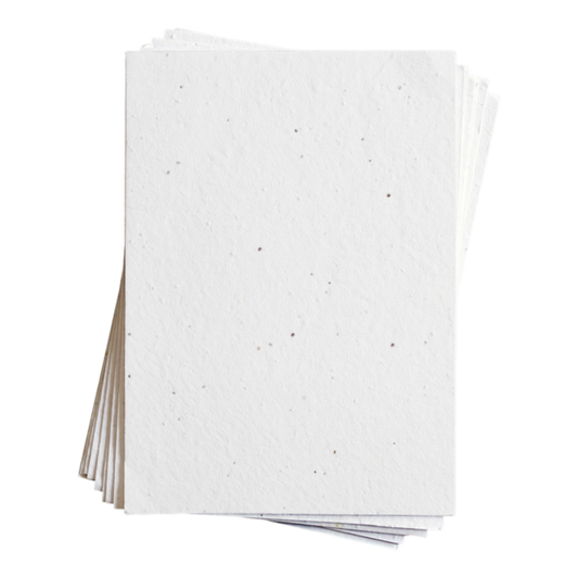 Shiloh Alyssum 种子纸 (200 GSM)