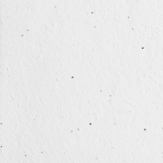 Shiloh Alyssum 种子纸 (200 GSM)