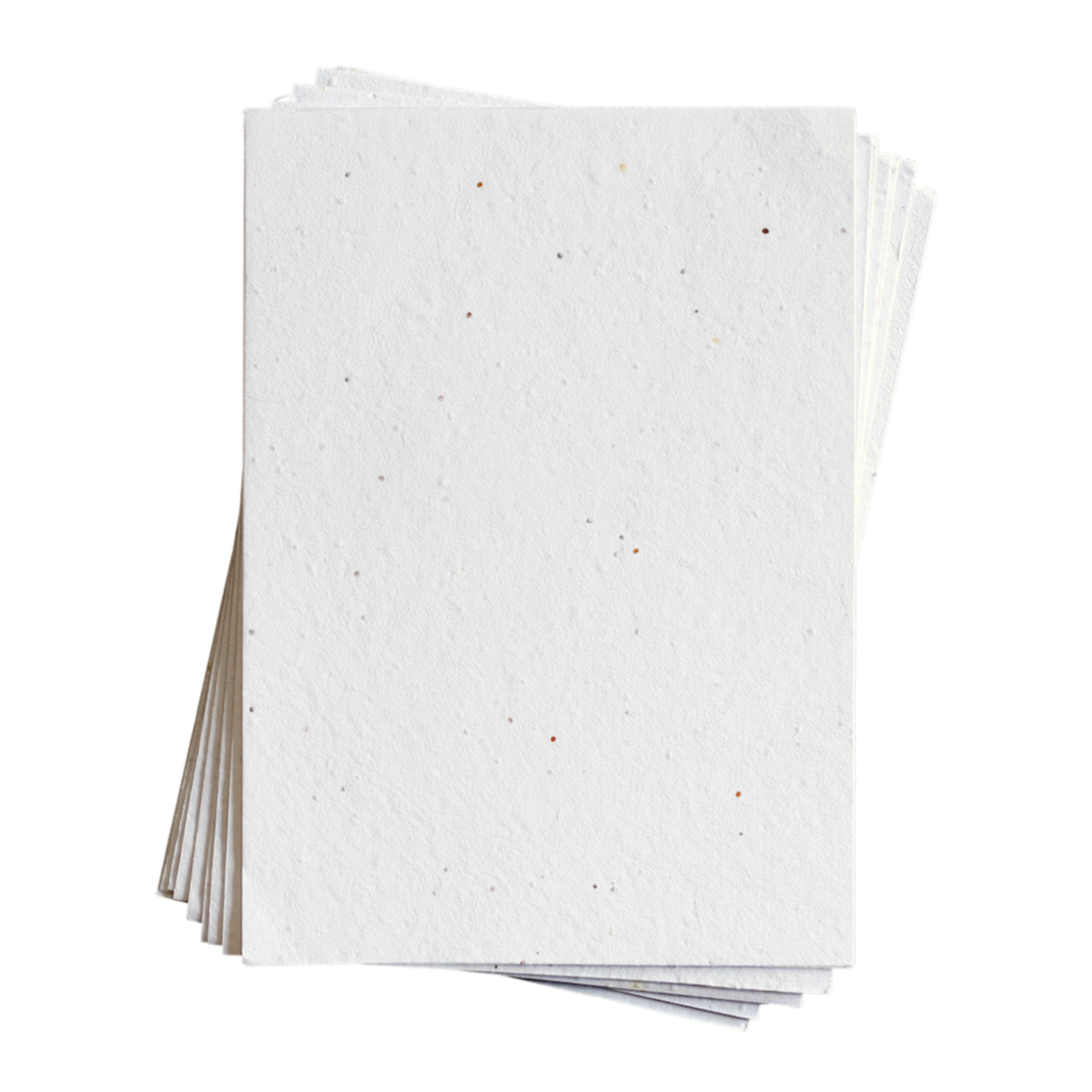 Sara Baby's Breath Seed Paper (200 GSM)