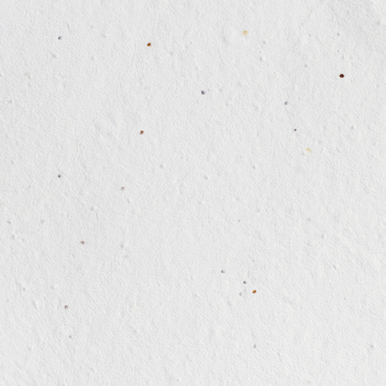 Sara Baby's Breath Seed Paper (200 GSM)