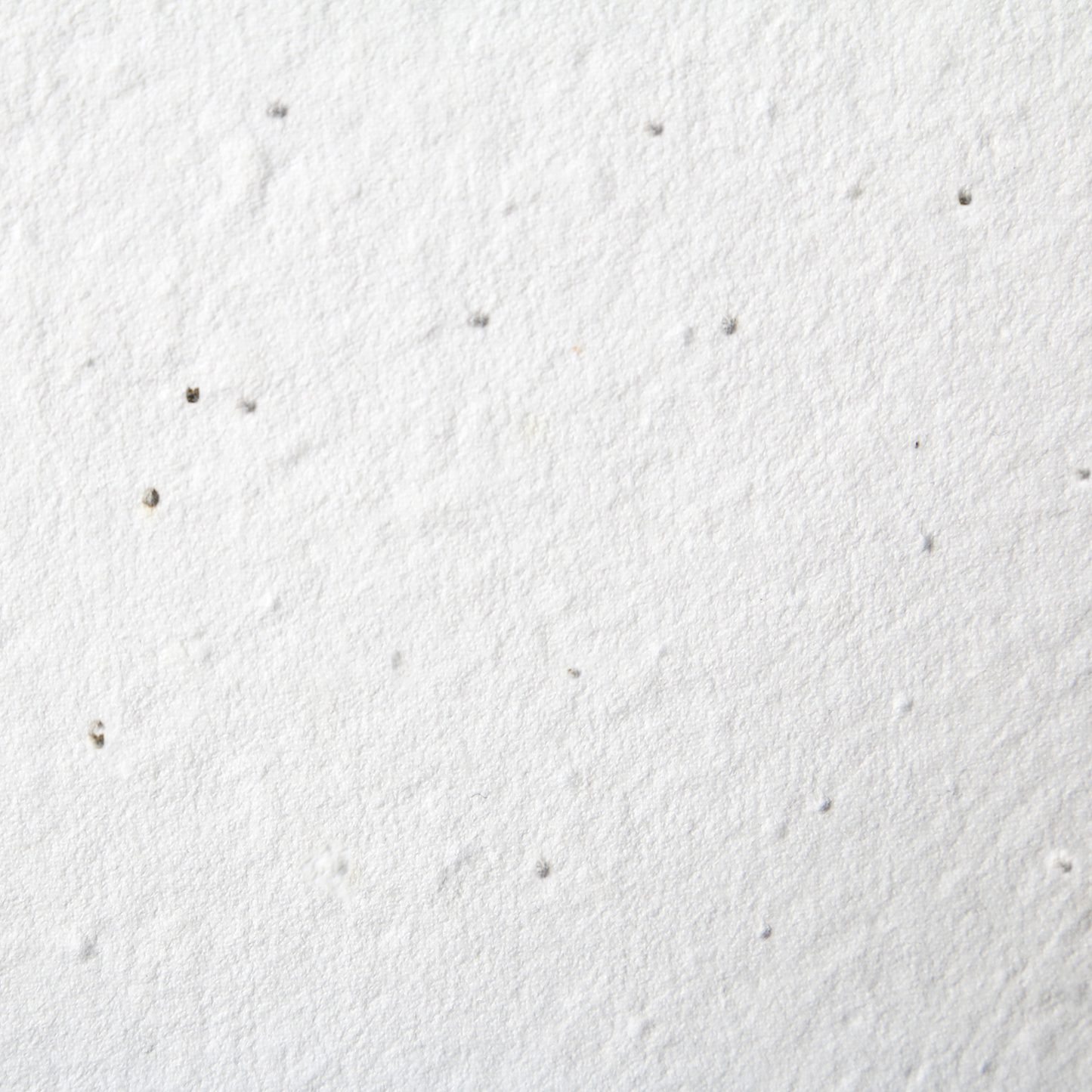 Stellina 罗勒种子纸 (200 GSM)