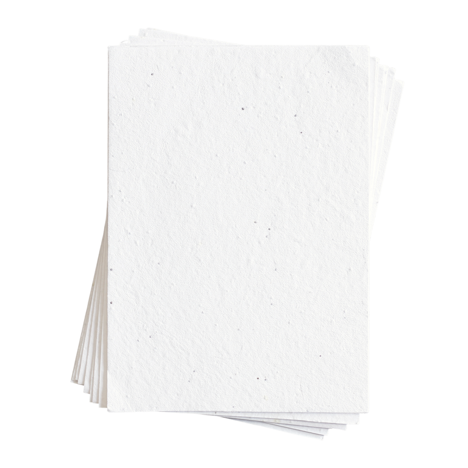 Stellina Basil Seed Paper 200 GSM