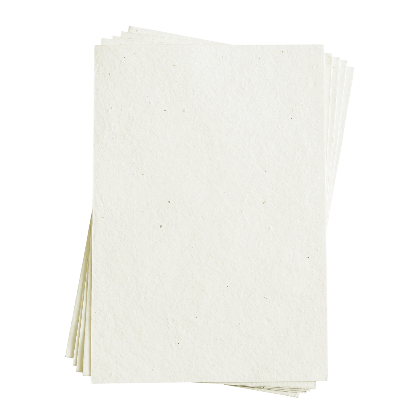 Sasha 混合花籽纸(奶油色,200 GSM)