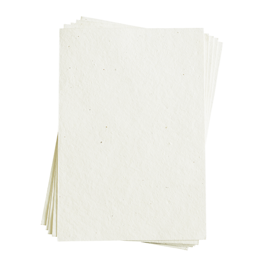 Sasha 混合花籽纸(奶油色,200 GSM)