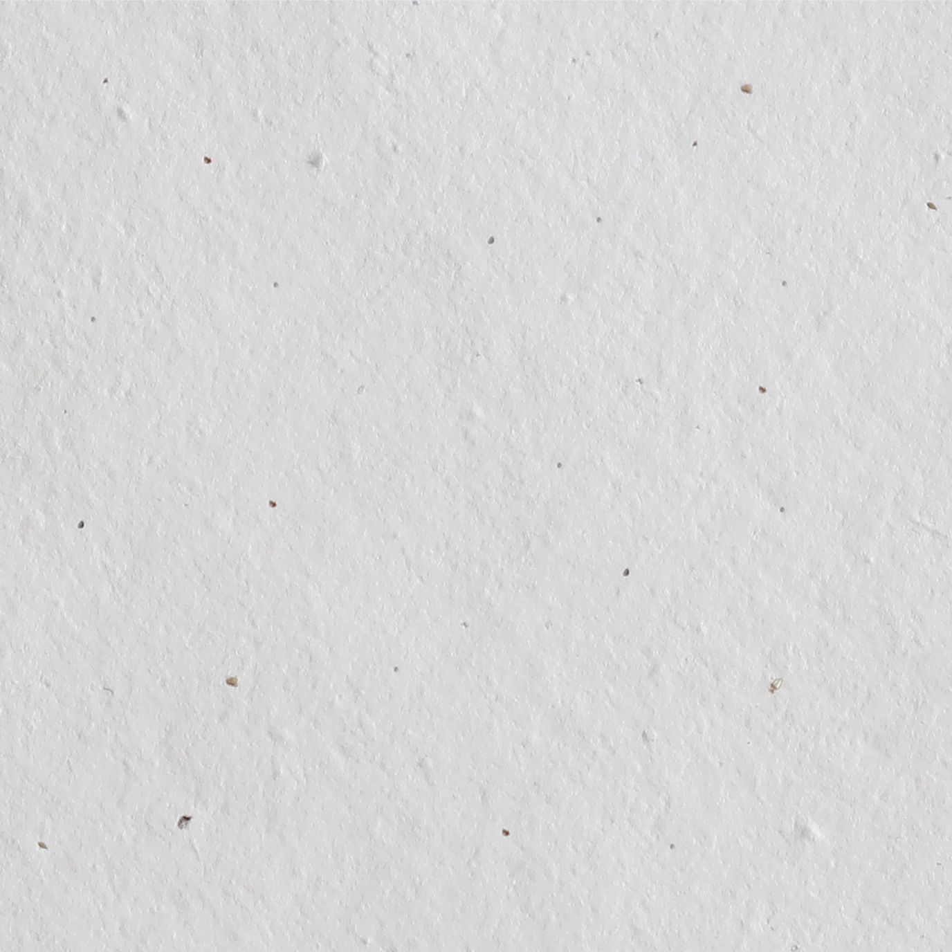 Sasha 混合花籽纸(奶油色,200 GSM)