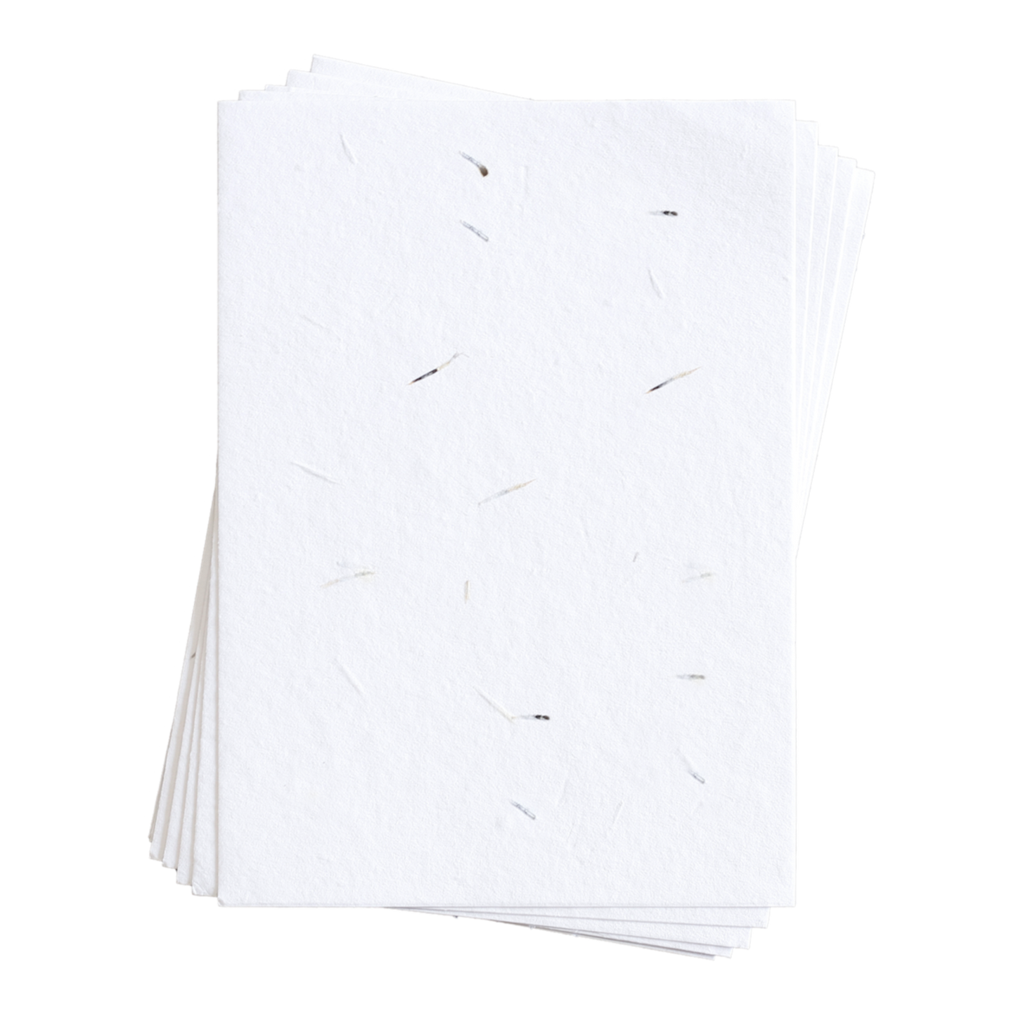 Sue-Ann 雏菊种子纸 (200 GSM)