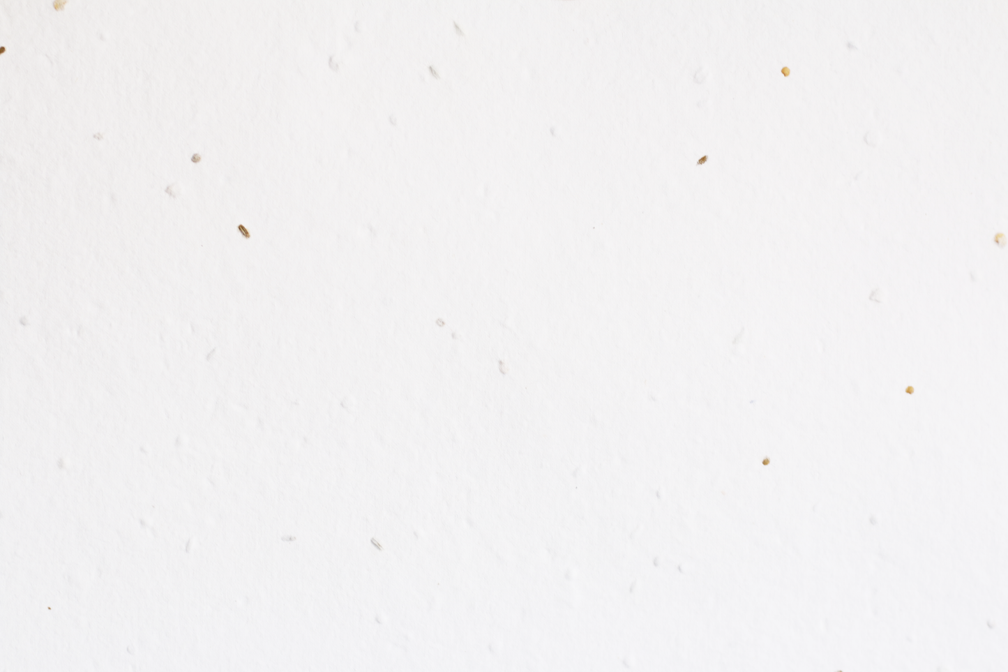 Sandra 混合蔬菜种子纸 (200 GSM)