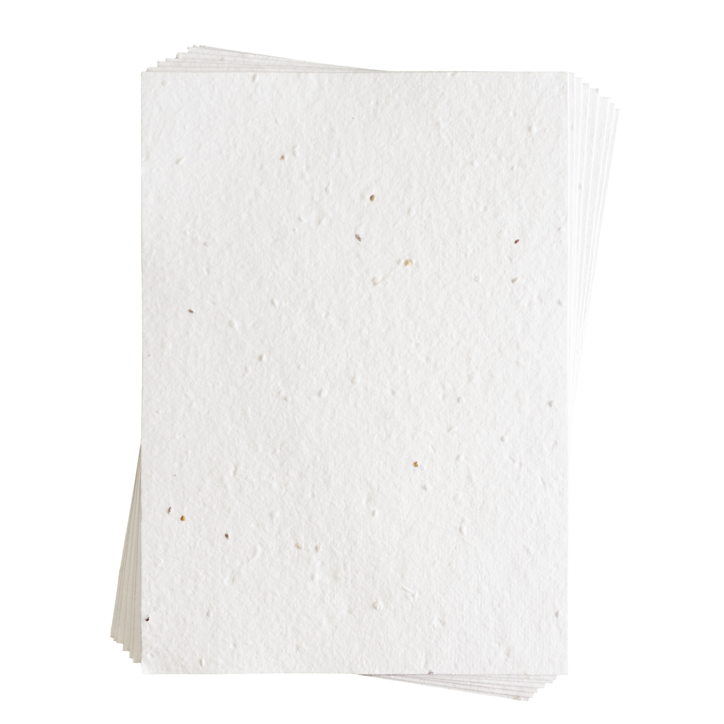 Sandra 混合蔬菜种子纸 (200 GSM)