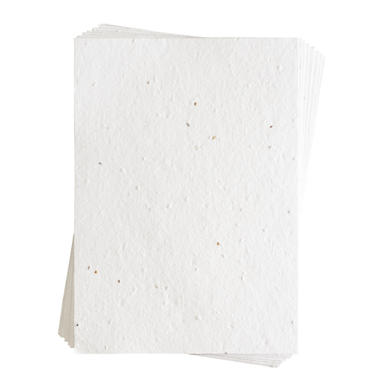 Sandra 混合蔬菜种子纸 (200 GSM)