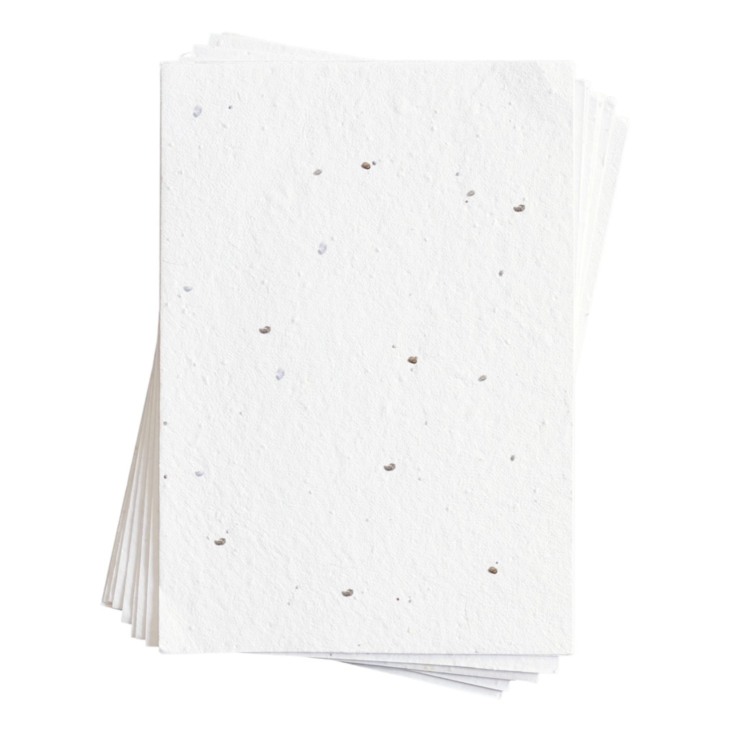 Sammie Tomato Seed Paper (200 GSM) – Plain Canvas Collective