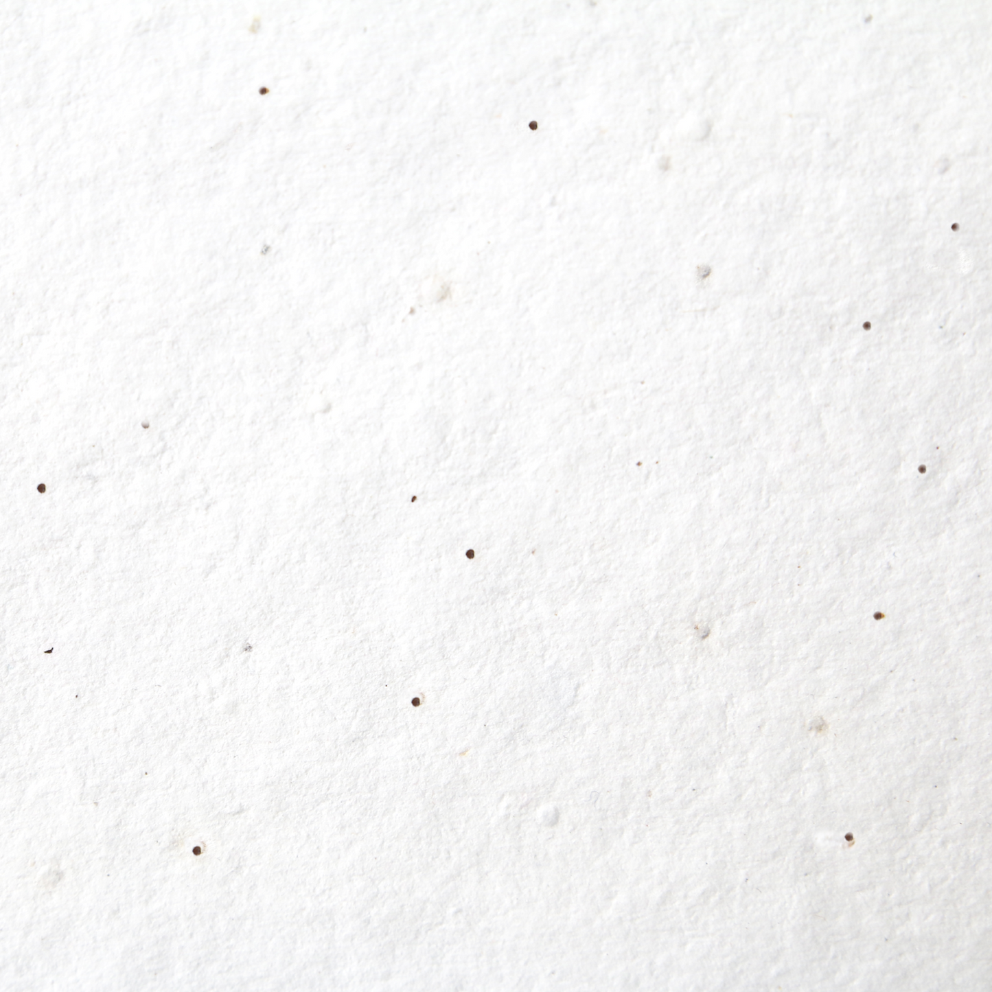 Sasha 混合花籽纸 (200 GSM)