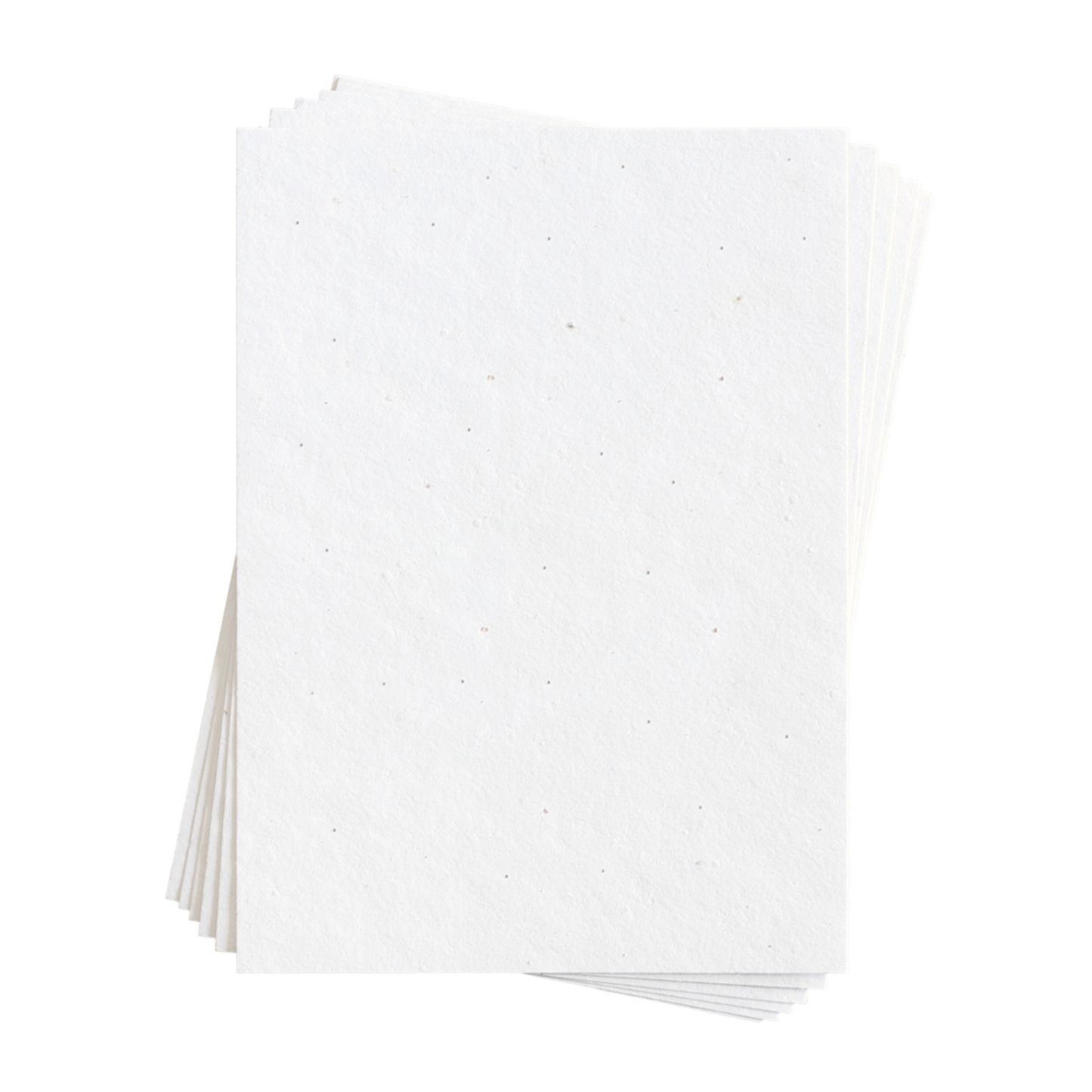 Sasha 混合花籽纸 (200 GSM)