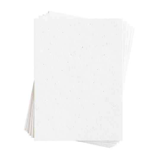 Sasha 混合花籽纸 (200 GSM)