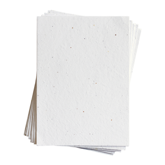 Sara Baby's Breath Seed Paper (200 GSM)