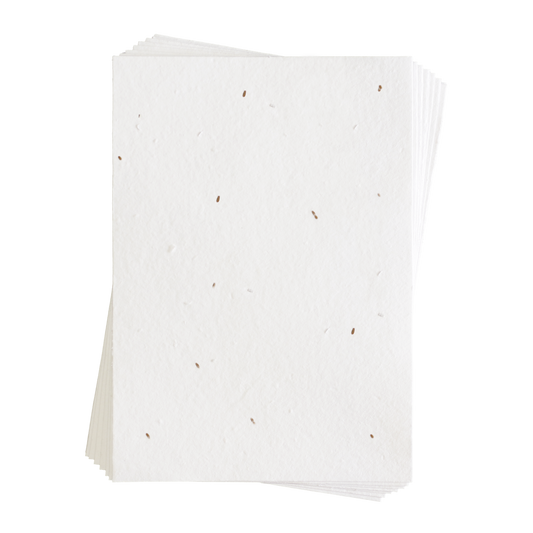 Sienna Carrot Seed Paper (200 GSM)