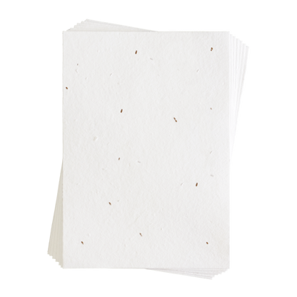 Sienna Carrot Seed Paper (200 GSM)