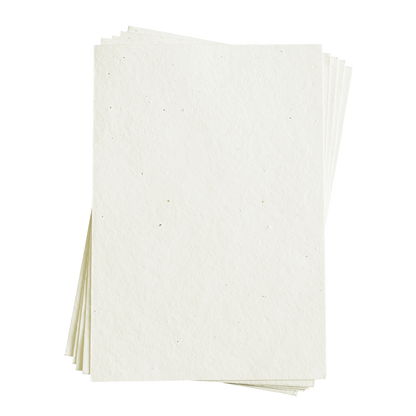 Sasha Mixed Flower Seed Paper (Cream, 200 GSM)