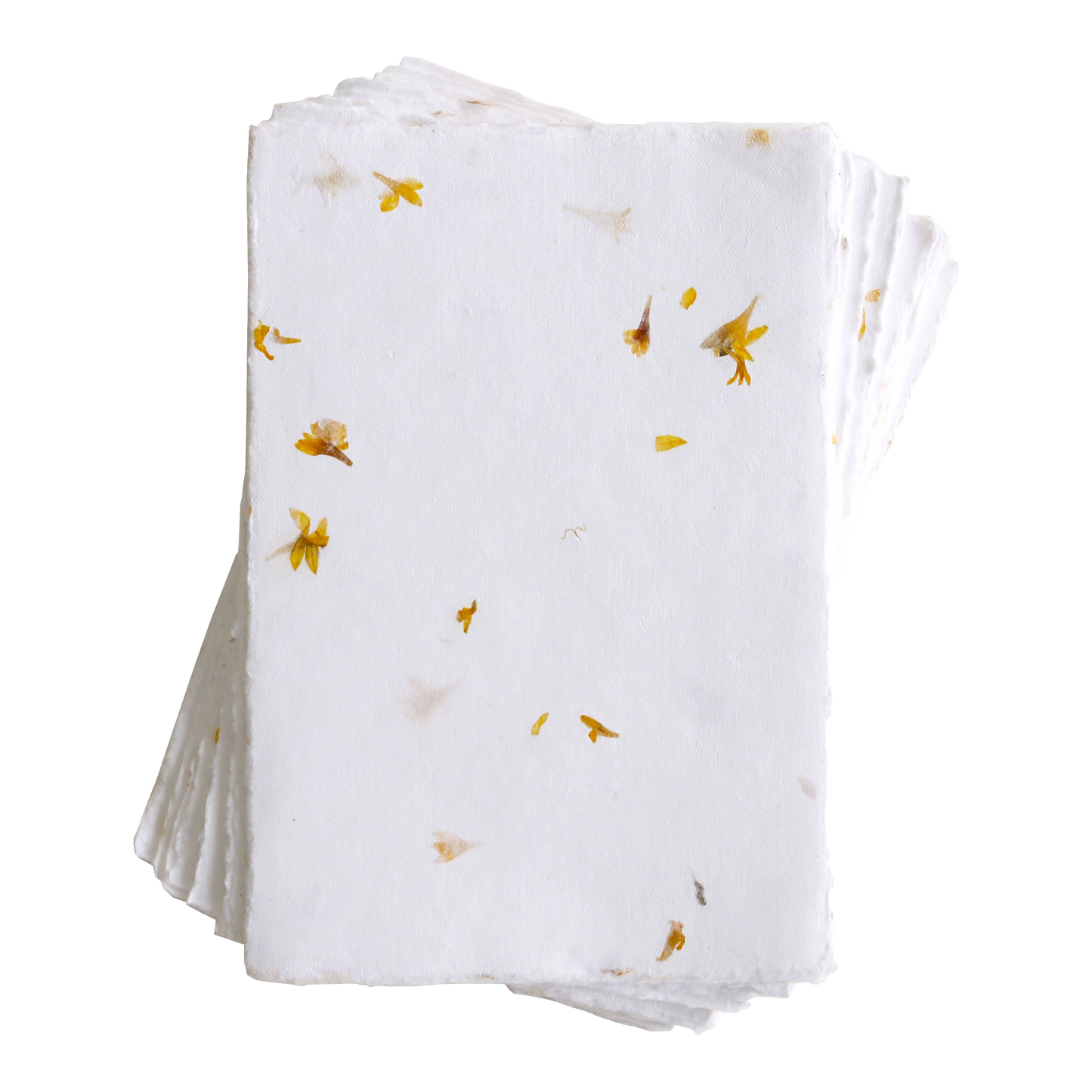 Summer Marigold-Embedded Floral Paper (150 GSM)