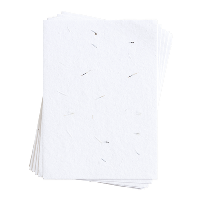 Sue-Ann Daisy Seed Paper (200 GSM)