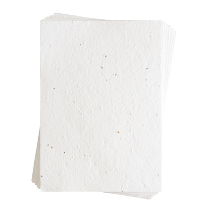 Sandra Mixed Vegetable Seed Paper (200 GSM)