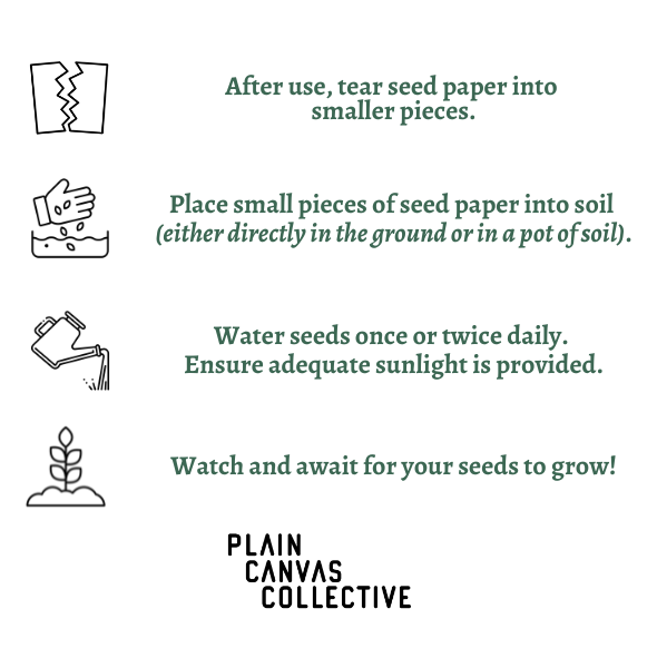 Eco-friendly Plantable Mix Vegetable Seed Paper cards with Envelopes s –  DEVRAAJ HANDMADE PAPER, PLANTABLE SEED PAPERS & PAPER PRODUCTS