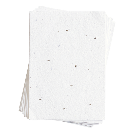 Sammie Tomato Seed Paper (200 GSM)
