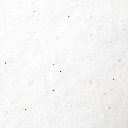 Sasha Mixed Flower Seed Paper (200 GSM)